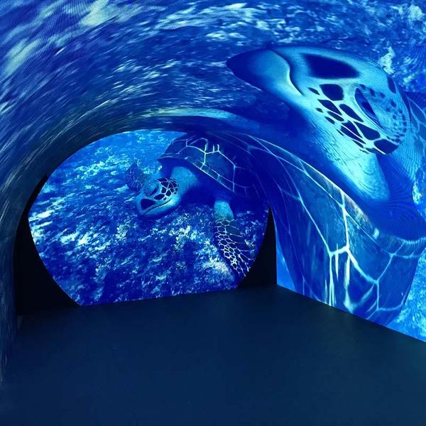 LED interactive screen.jpg