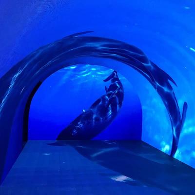 沉浸式隧道LED互动屏
